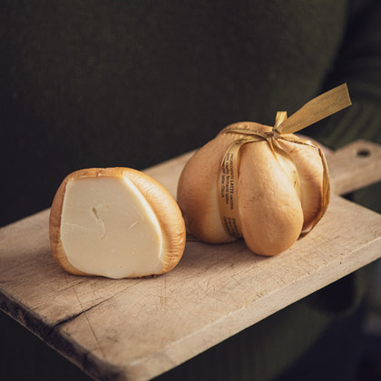 Scamorza
